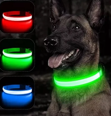 COLLAR LED PARA MASCOTAs